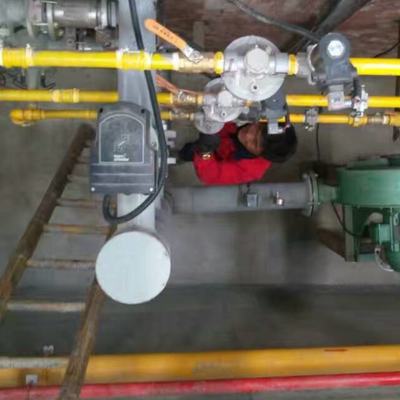 CE-gecertificeerd galvaniseringsovensysteem met thermische regulering in twee zones en warmteherstel voor zinktanklijnen
